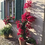Zum Hermannsberg Apartament Breitbrunn